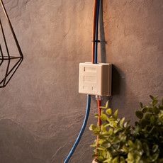 Rexant Розетка телефонная + сетевая LAN, на стену, (гнездо 8Р8С (Rj-45) + гнездо 6Р-4С (RJ-11))