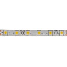 LED лента 24 В, 10 мм,  IP65, SMD 5050, 60 LED/m, цвет свечения теплый белый (3000 К) 